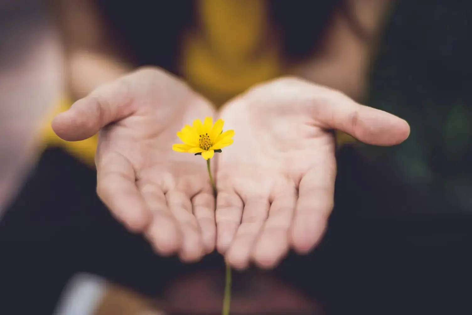 mindfulness practice